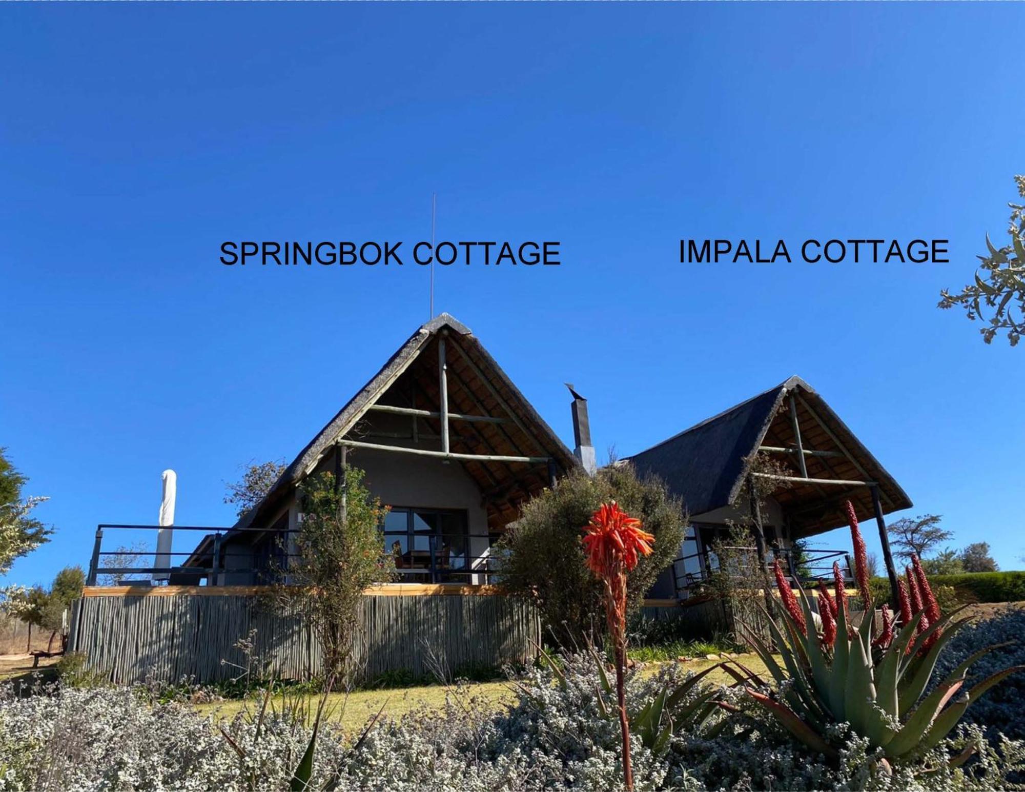 Sibani Lodge Krugersdorp Ngoại thất bức ảnh